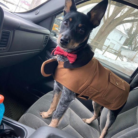 Meet your Posher, Jacob - Picture 1 of 1